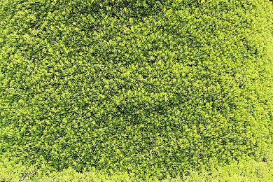 PlayStation三十周年纪念主题下架 不过还会回来的